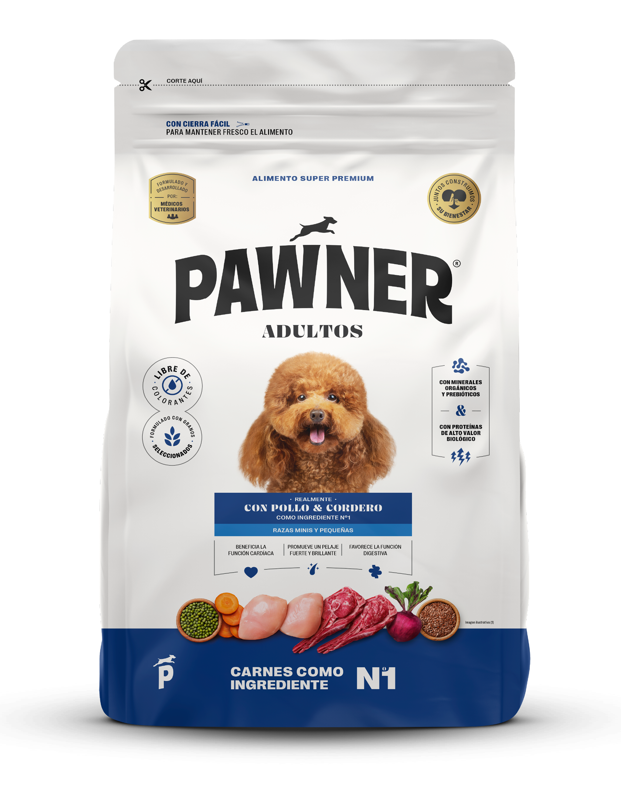 l carnitine benefits for brain Comida Para Perros Josera Ave De Corral Y Trucha main image 1
